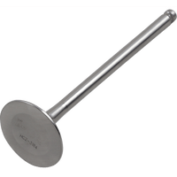 DEL WEST Exhaust Valve DWYZ250FEV02