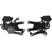 DRIVEN RACING TT Rearset 765 DRP740