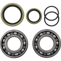 MOOSE RACING Crank Bearing/Seal Kit Beta 241128