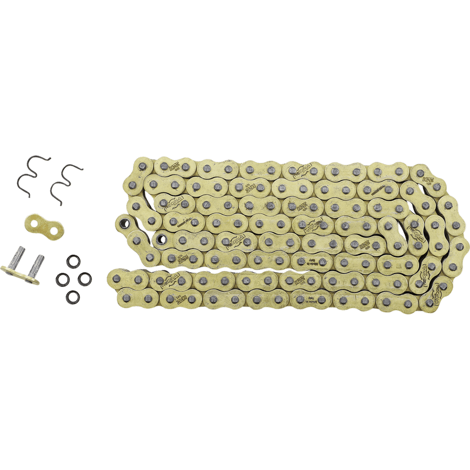 REGINA 525 HPE Drive Chain 122 Links 137HPE/1008