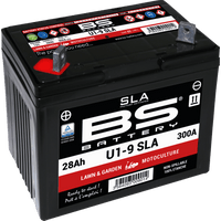 BS BATTERY Battery U1-9 300901