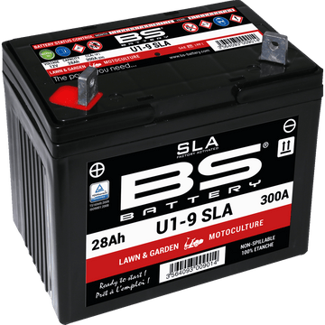 BS BATTERY Battery U1-9 300901