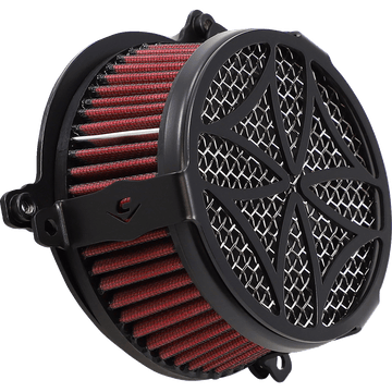 COBRA Air Cleaner Kit Black 606010202BSB