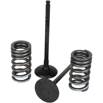 WISECO Valve Kit