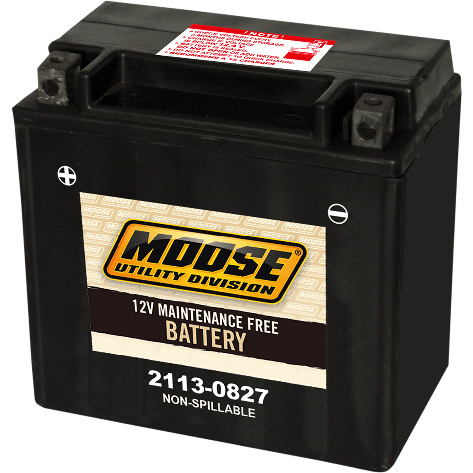 MOOSE UTILITY AGM Battery CTX14