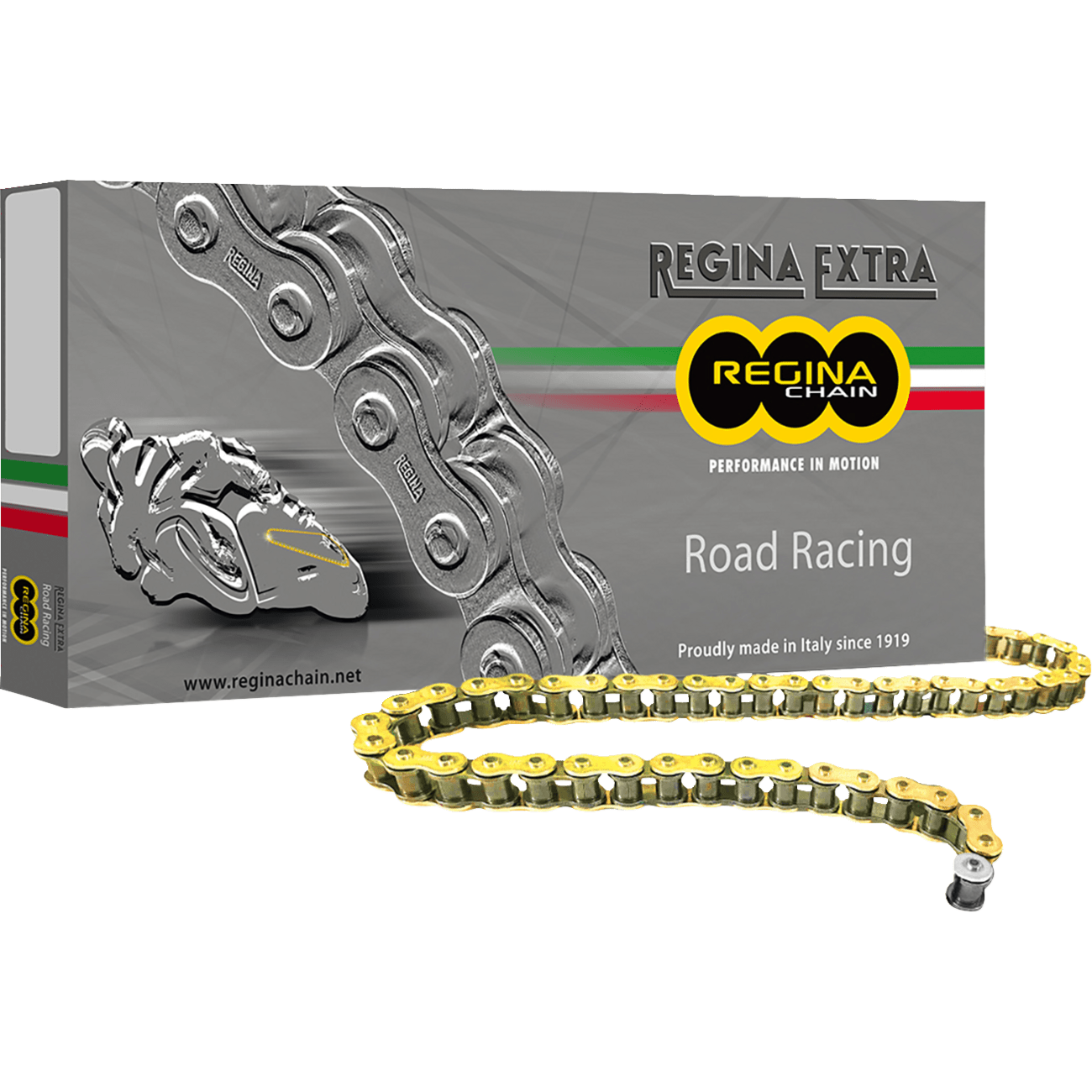 REGINA 520 GPZ Series Chain 120 Links 135GPZ/001