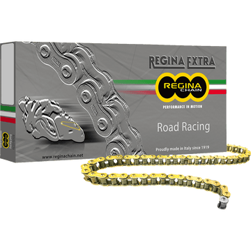 REGINA 520 GPZ Series Chain 120 Links 135GPZ/001