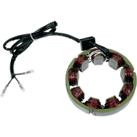 RICK'S MOTORSPORT ELECTRIC Stator Kawasaki 21208