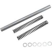 RACE TECH Fork Springs 1.20 kg/mm FRSP S3732120