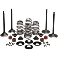 KIBBLEWHITE Complete Valve Kit Evolution/1200