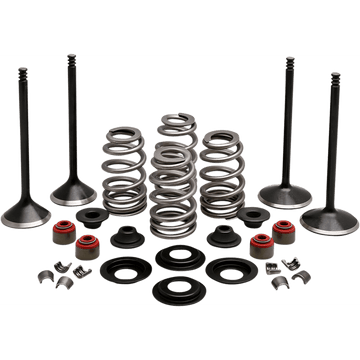 KIBBLEWHITE Complete Valve Kit Evolution/1200