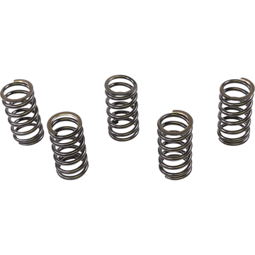 XCELDYNE Valve Springs Intake/Exhaust Yamaha PSIMX2004