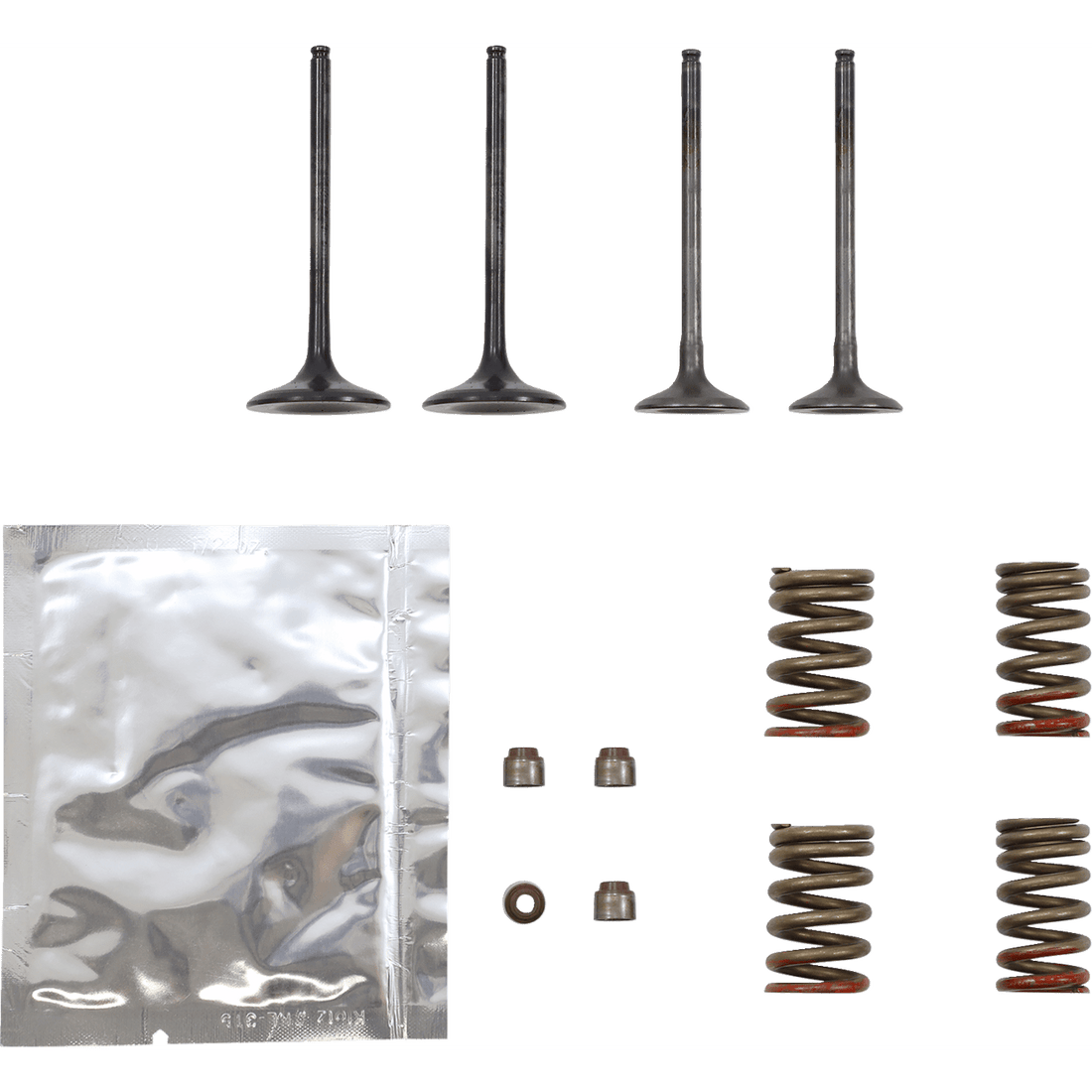 WISECO Valve Kit