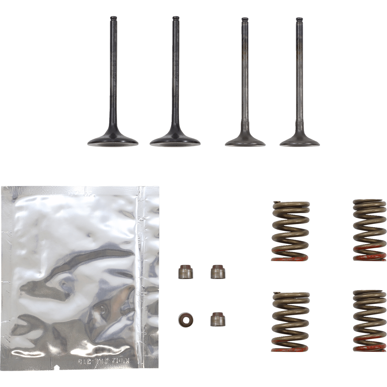 WISECO Valve Kit