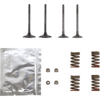 WISECO Valve Kit