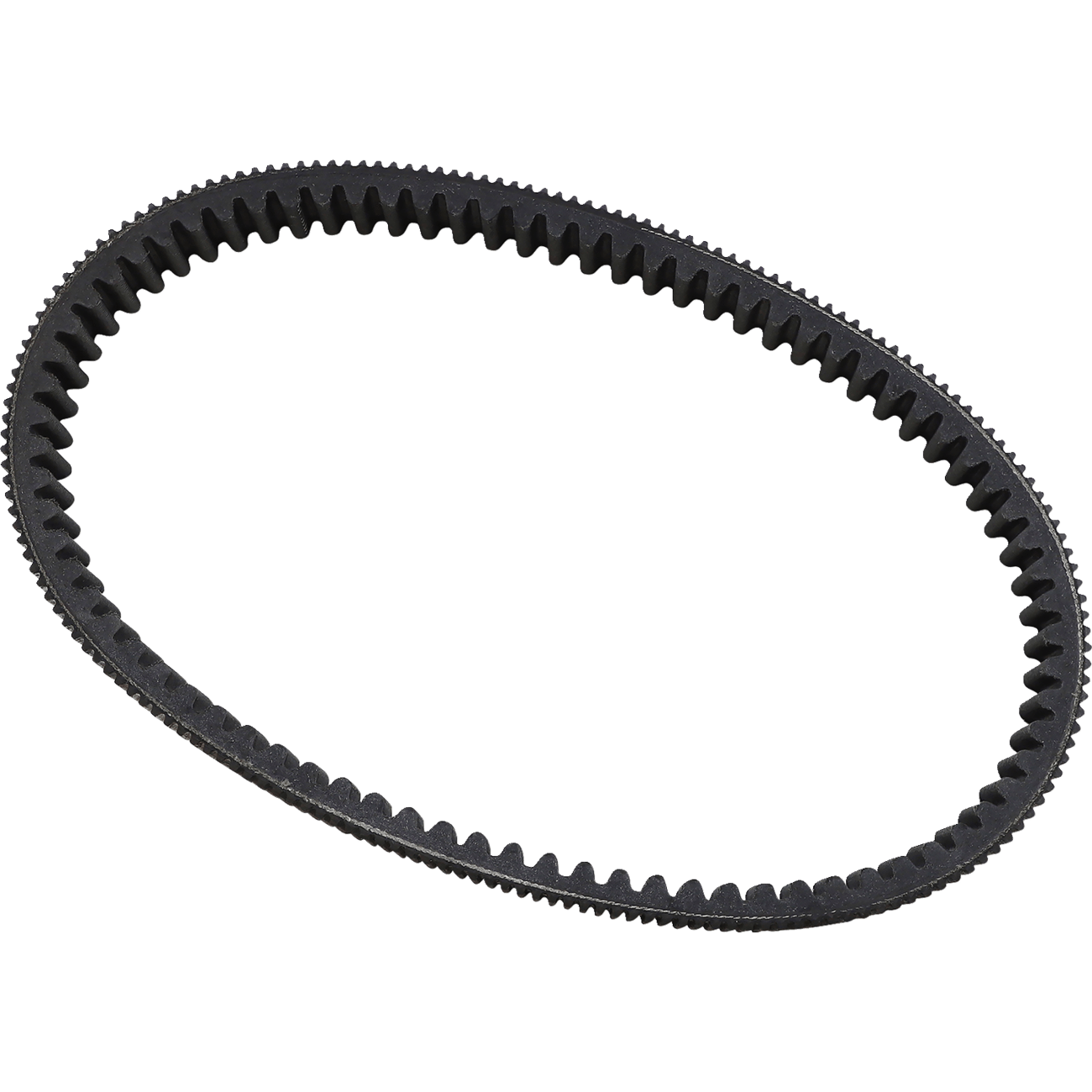 EPI Drive Belt WE262234