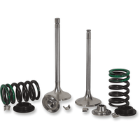 XCELDYNE Exhaust Valve Kit