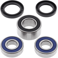 ALL BALLS Wheel Bearing Kit Rear Honda