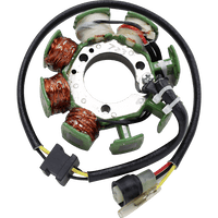 RICK'S MOTORSPORT ELECTRIC Stator Kawasaki 21723