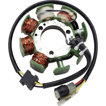 RICK'S MOTORSPORT ELECTRIC Stator Kawasaki 21723