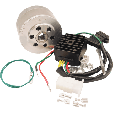 RICK'S MOTORSPORT ELECTRIC Charging Kit Honda 1499111