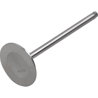 DEL WEST Intake Valve DWKX250FIV07