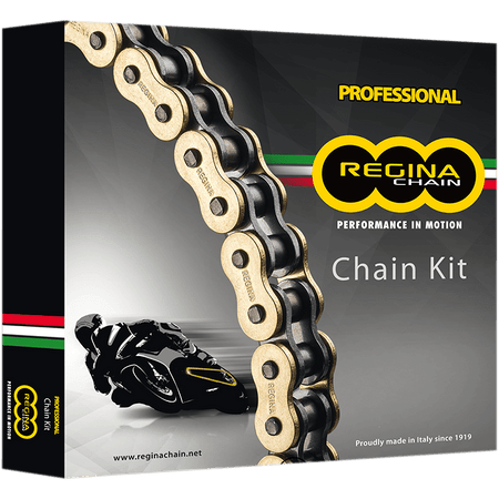 REGINA Chain and Sprocket Kit Kawasaki ZX-900 '98-'01