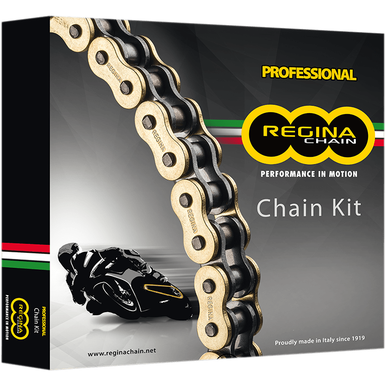 REGINA Chain and Sprocket Kit Kawasaki ZX-6RR '05-'06 5ZRP/110KKA014