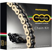 REGINA Chain and Sprocket Kit Kawasaki ZX-6RR '05-'06 5ZRP/110KKA014