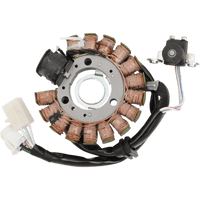 RICK'S MOTORSPORT ELECTRIC Stator Benelli Scooter 21427