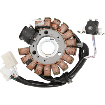 RICK'S MOTORSPORT ELECTRIC Stator Benelli Scooter 21427