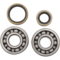 HOT RODS Crankshaft Bearings Suzuki