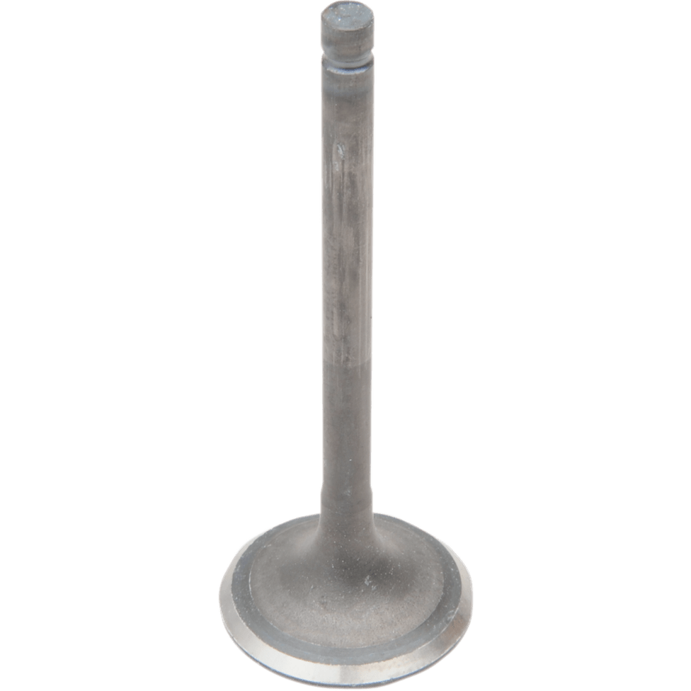 VESRAH Exhaust Valve