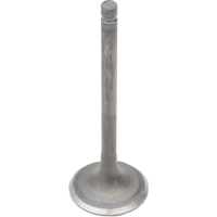 VESRAH Exhaust Valve