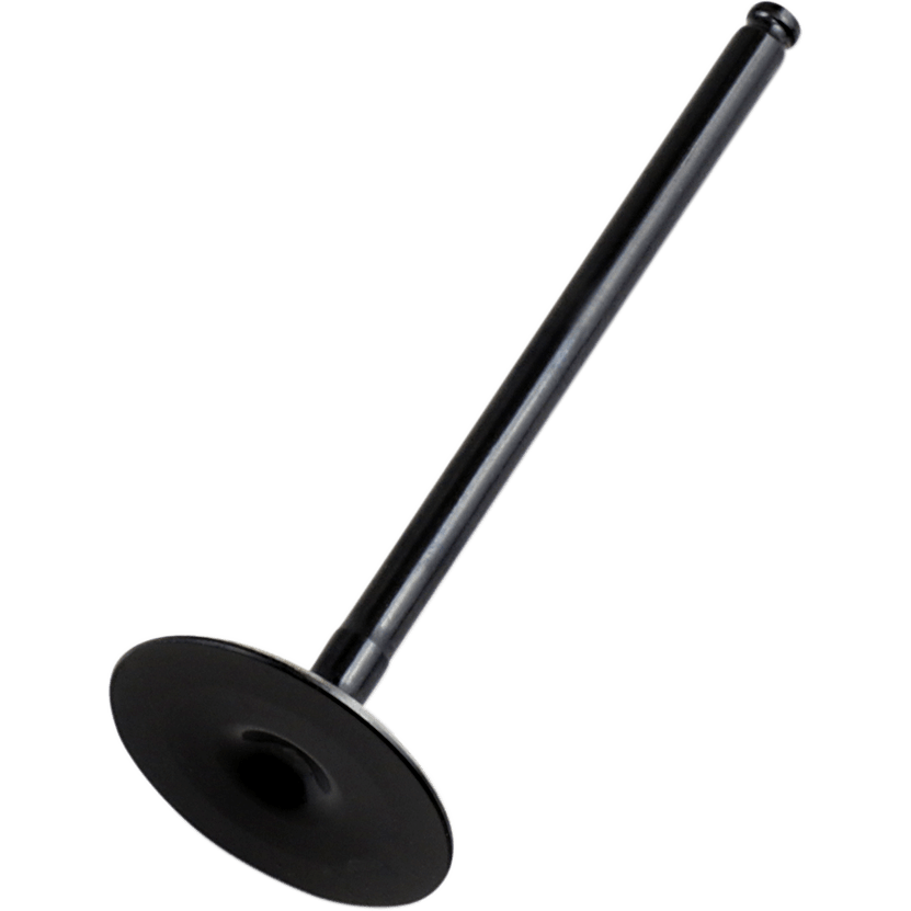 VERTEX Intake Valve 84000112