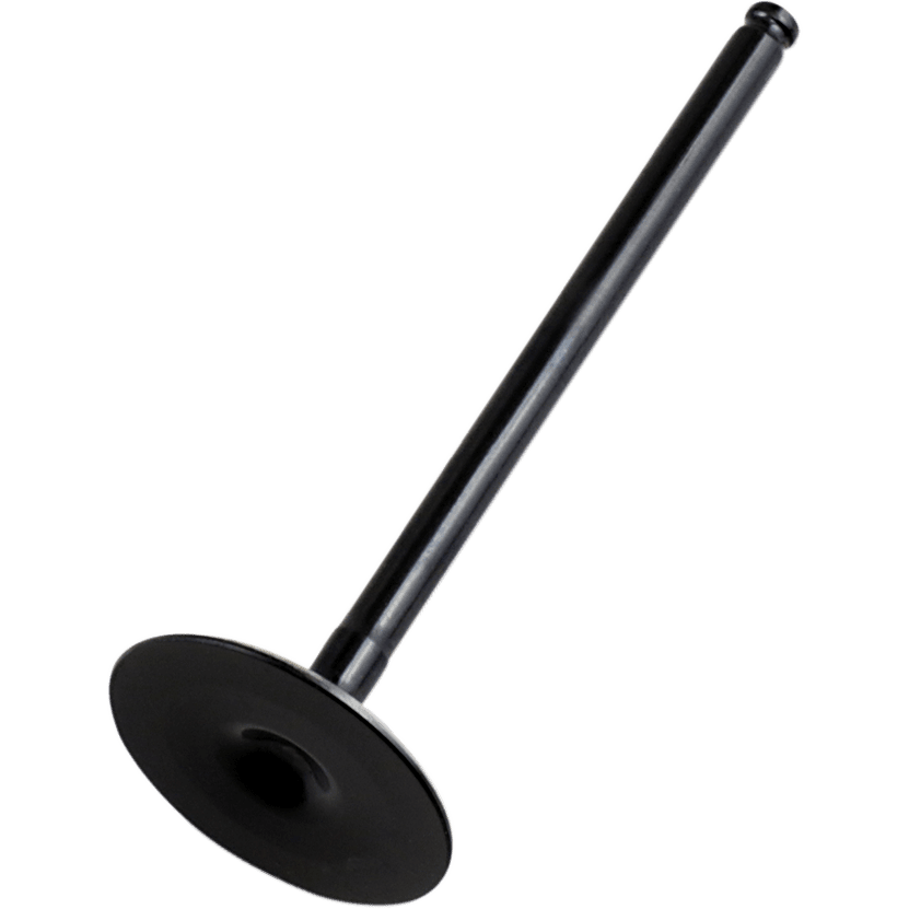 VERTEX Intake Valve 84000083