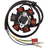 RICK'S MOTORSPORT ELECTRIC Stator Can-Am 21061