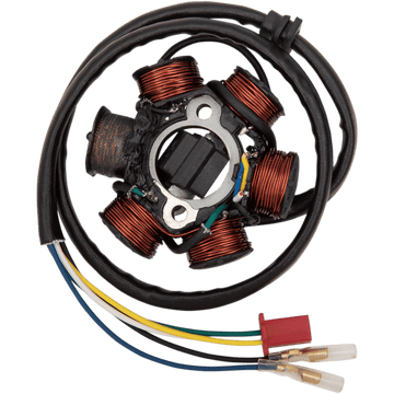 RICK'S MOTORSPORT ELECTRIC Stator Can-Am 21061