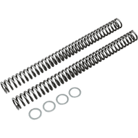 RACE TECH Fork Springs 0.95 kg/mm FRSP S4047095