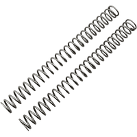 RACE TECH Fork Springs 0.52 kg/mm FRSP 444652