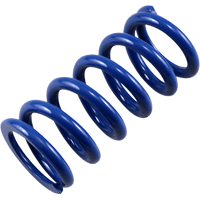 RACE TECH Rear Spring Blue Sport Series Spring Rate 599 lbs/in SRSP 5818107