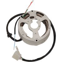 RICK'S MOTORSPORT ELECTRIC Stator Yamaha 21496