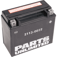 PARTS UNLIMITED AGM Battery YTX20HL-BS .948 L