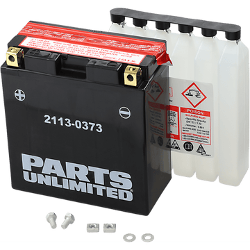 PARTS UNLIMITED AGM Battery YT14B-BS