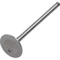 DEL WEST Exhaust Valve DWRMZ250EV04