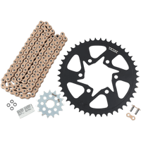 VORTEX Chain Kit Gold Kawasaki Versys 650 CKG6394