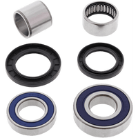 ALL BALLS Wheel Bearing Kit Rear