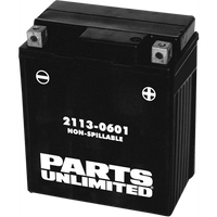 PARTS UNLIMITED AGM Battery YTZ8V