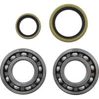 MOOSE RACING Crank Bearing/Seal Kit Beta