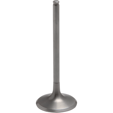 KIBBLEWHITE Exhaust Valve Standard Titanium